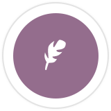 scribe